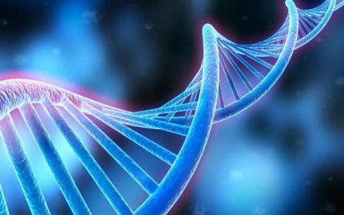 精子DNA碎片率检查的重要性